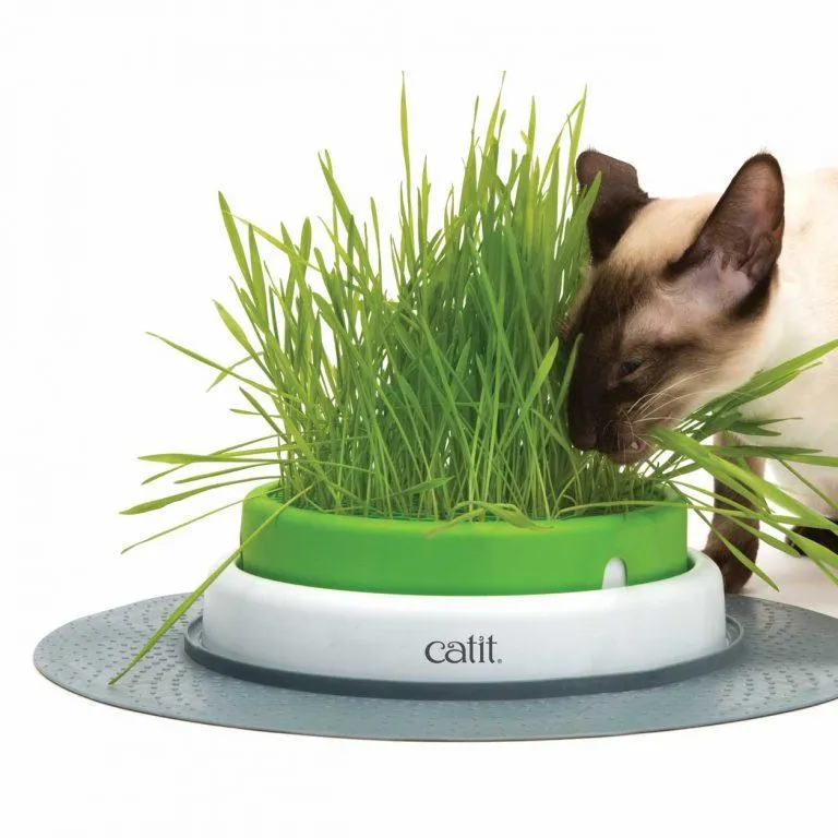 Catit 2.0 – Grass Planter Refill