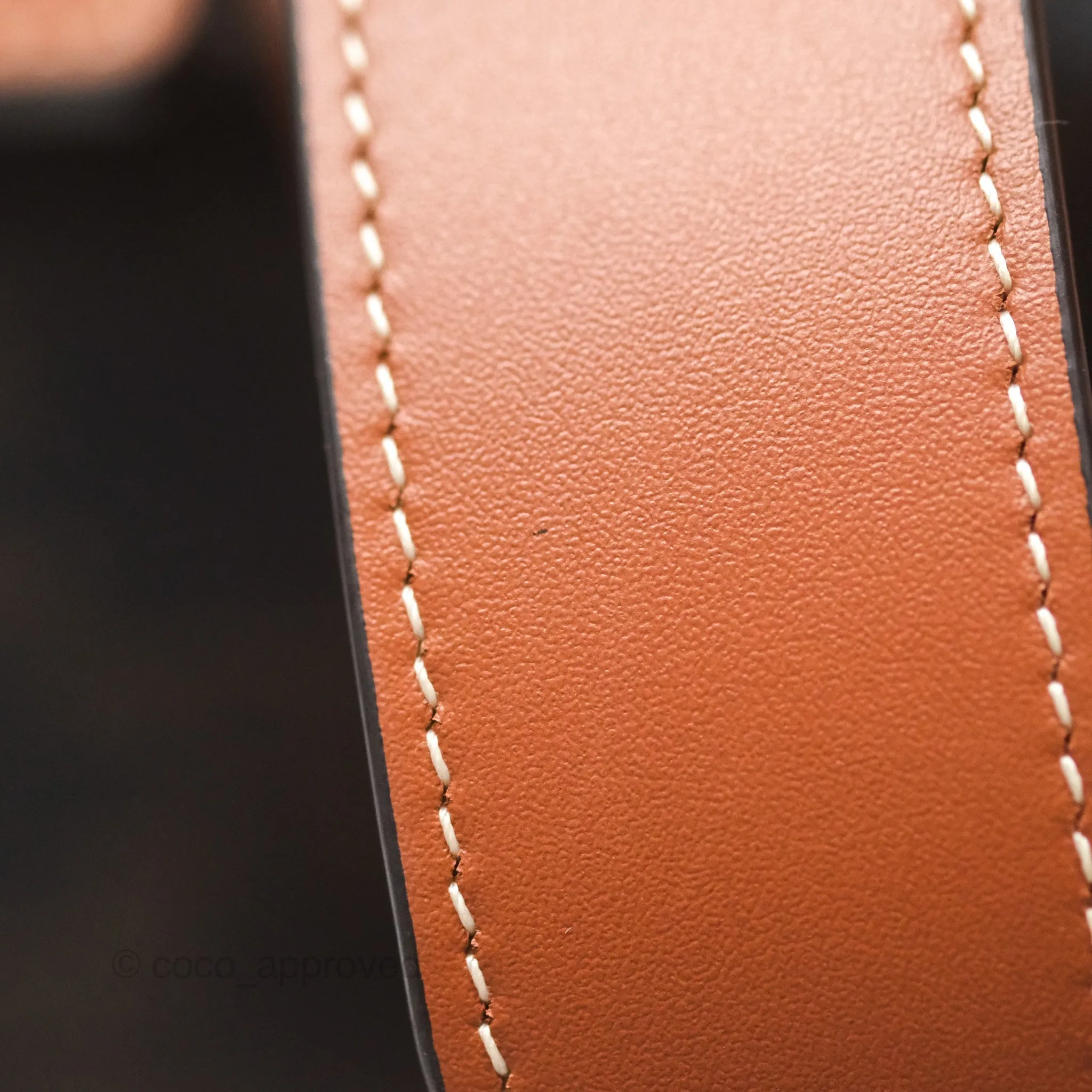 Celine Medium Folco Backpack In Triomphe Canvas Calfskin