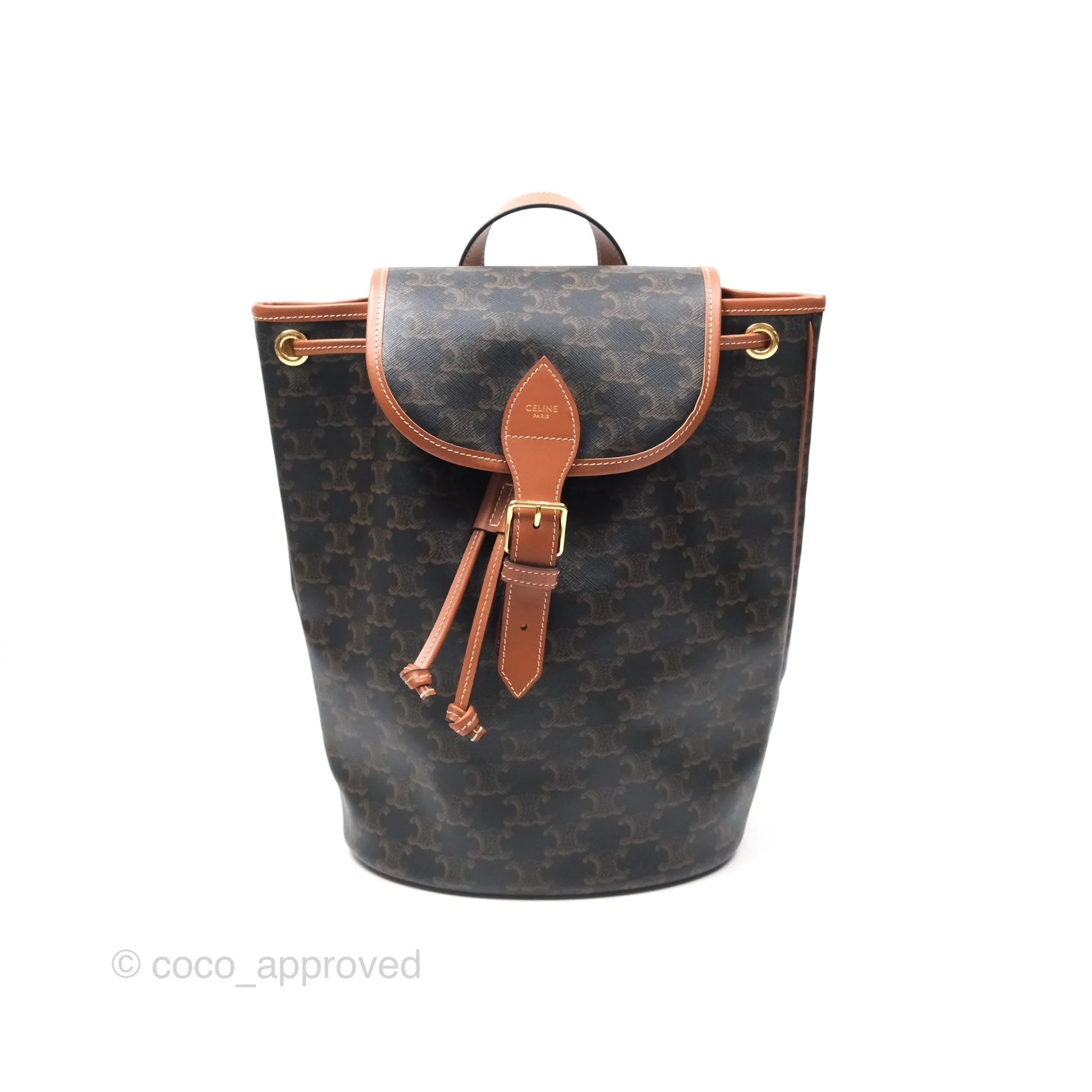 Celine Medium Folco Backpack In Triomphe Canvas Calfskin