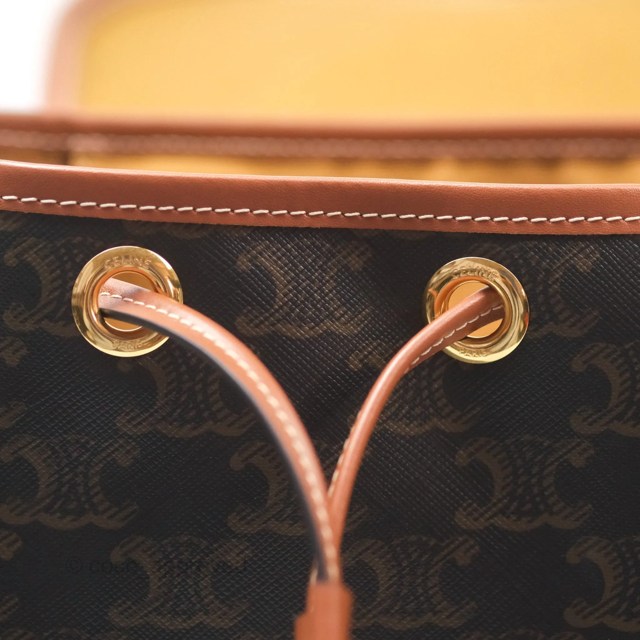 Celine Medium Folco Backpack In Triomphe Canvas Calfskin