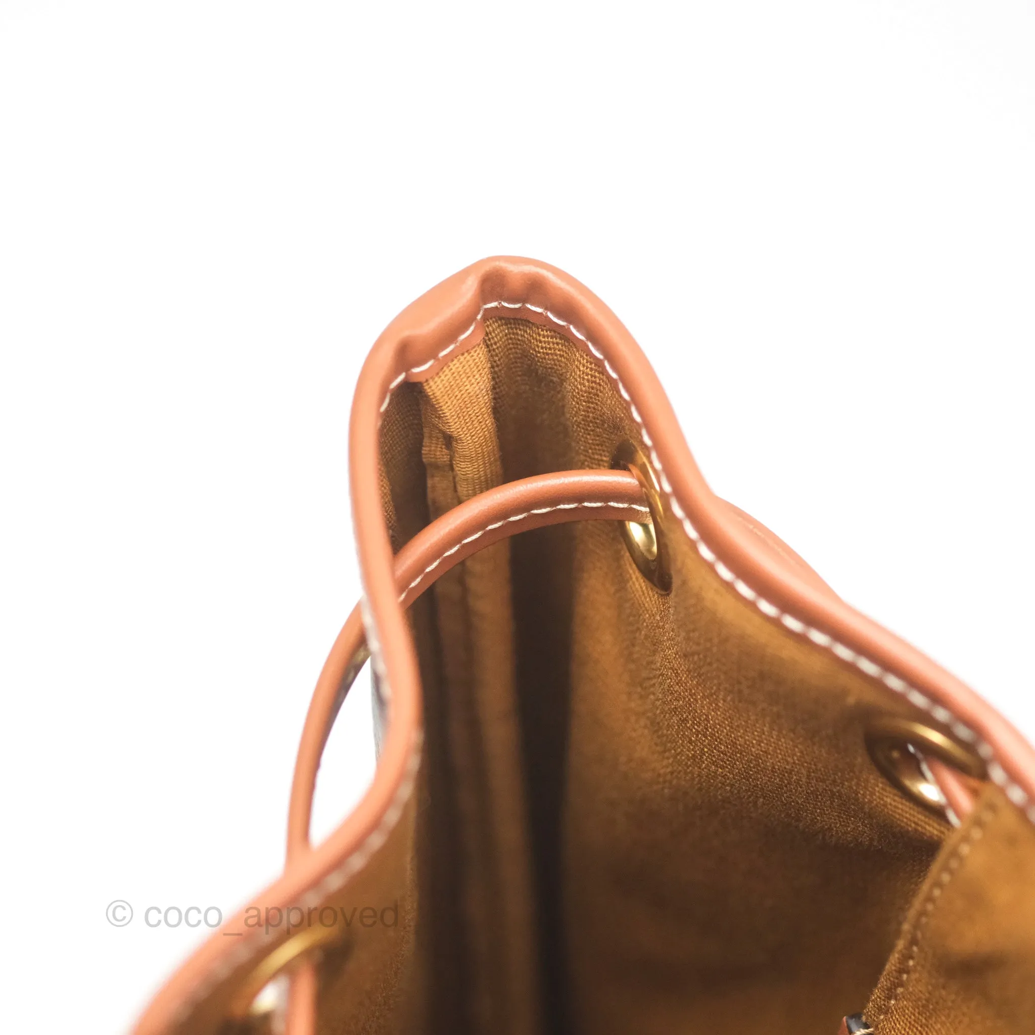 Celine Medium Folco Backpack In Triomphe Canvas Calfskin