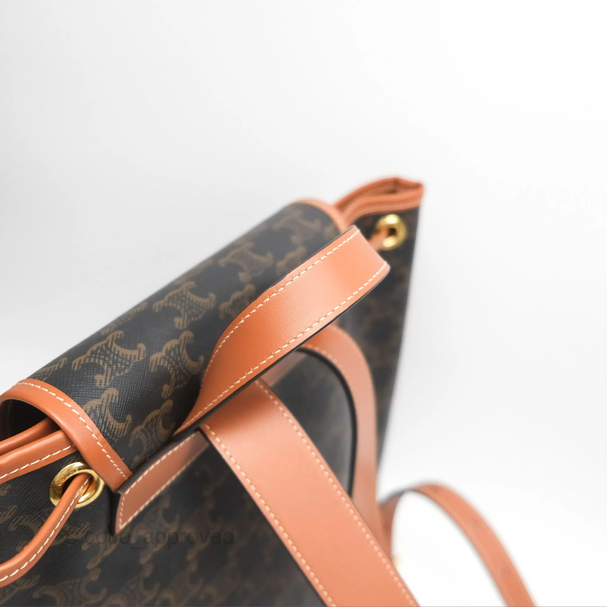 Celine Medium Folco Backpack In Triomphe Canvas Calfskin