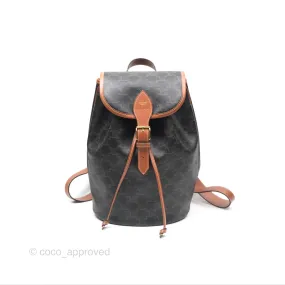 Celine Medium Folco Backpack In Triomphe Canvas Calfskin