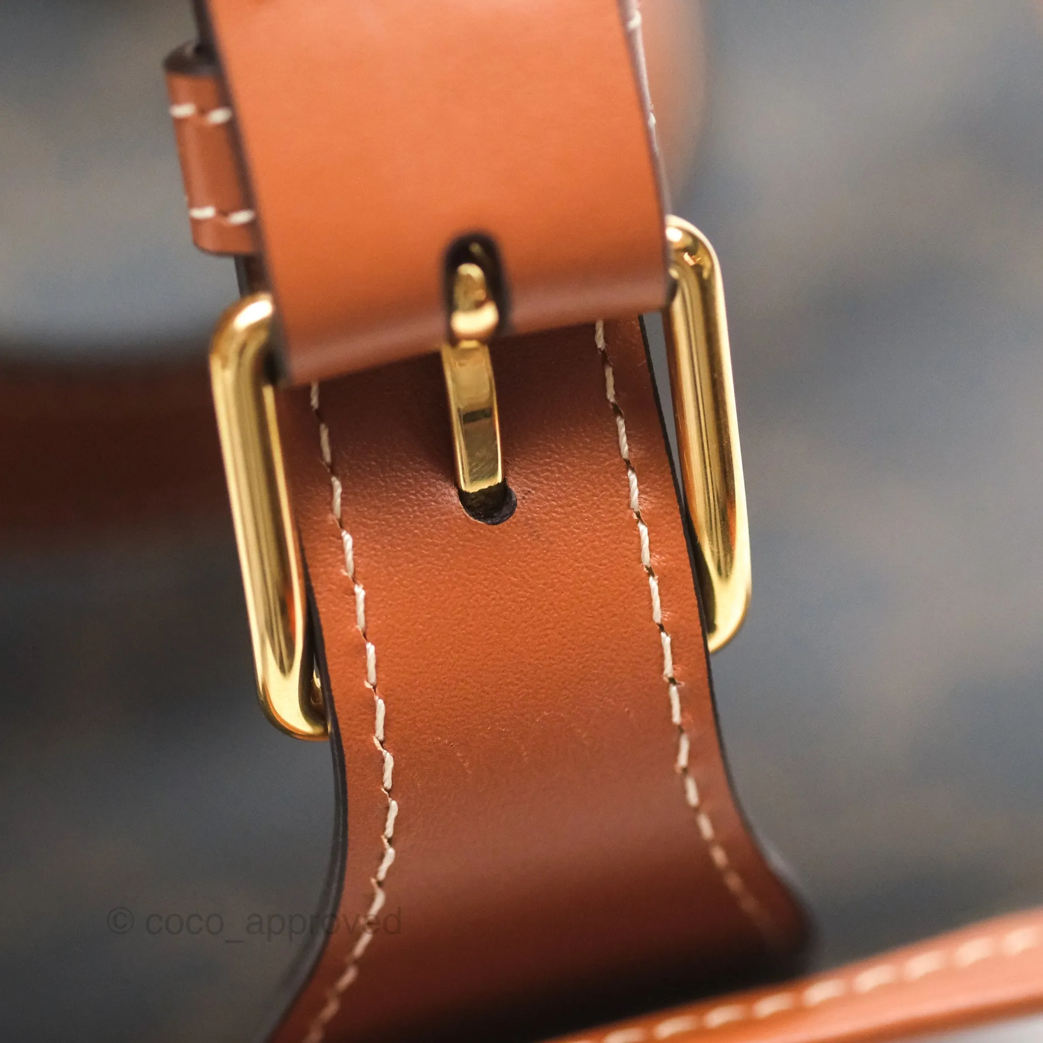 Celine Medium Folco Backpack In Triomphe Canvas Calfskin