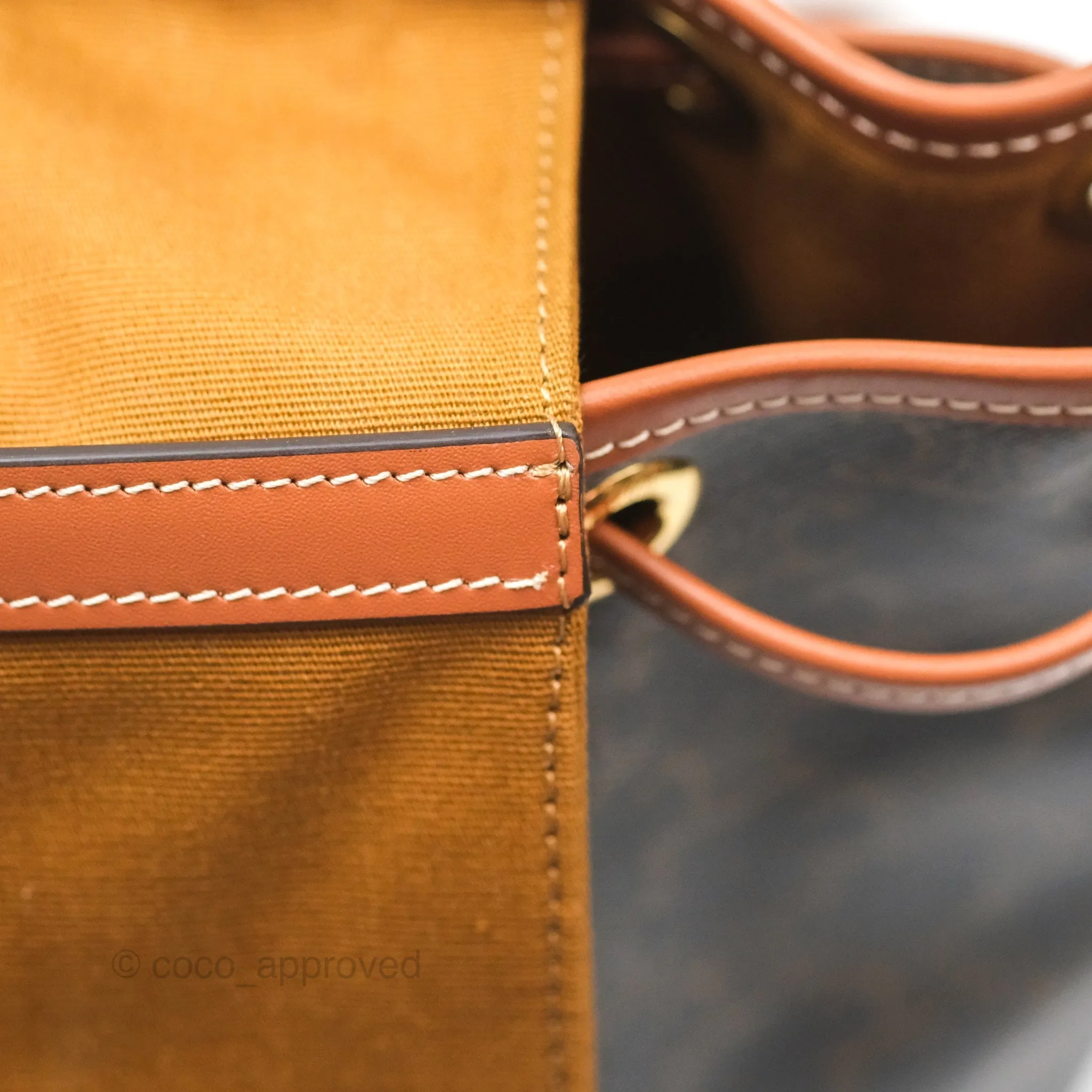 Celine Medium Folco Backpack In Triomphe Canvas Calfskin