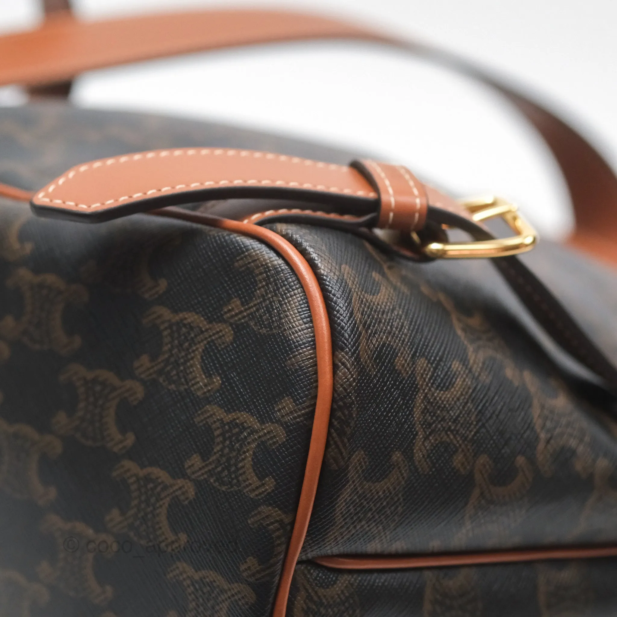 Celine Medium Folco Backpack In Triomphe Canvas Calfskin