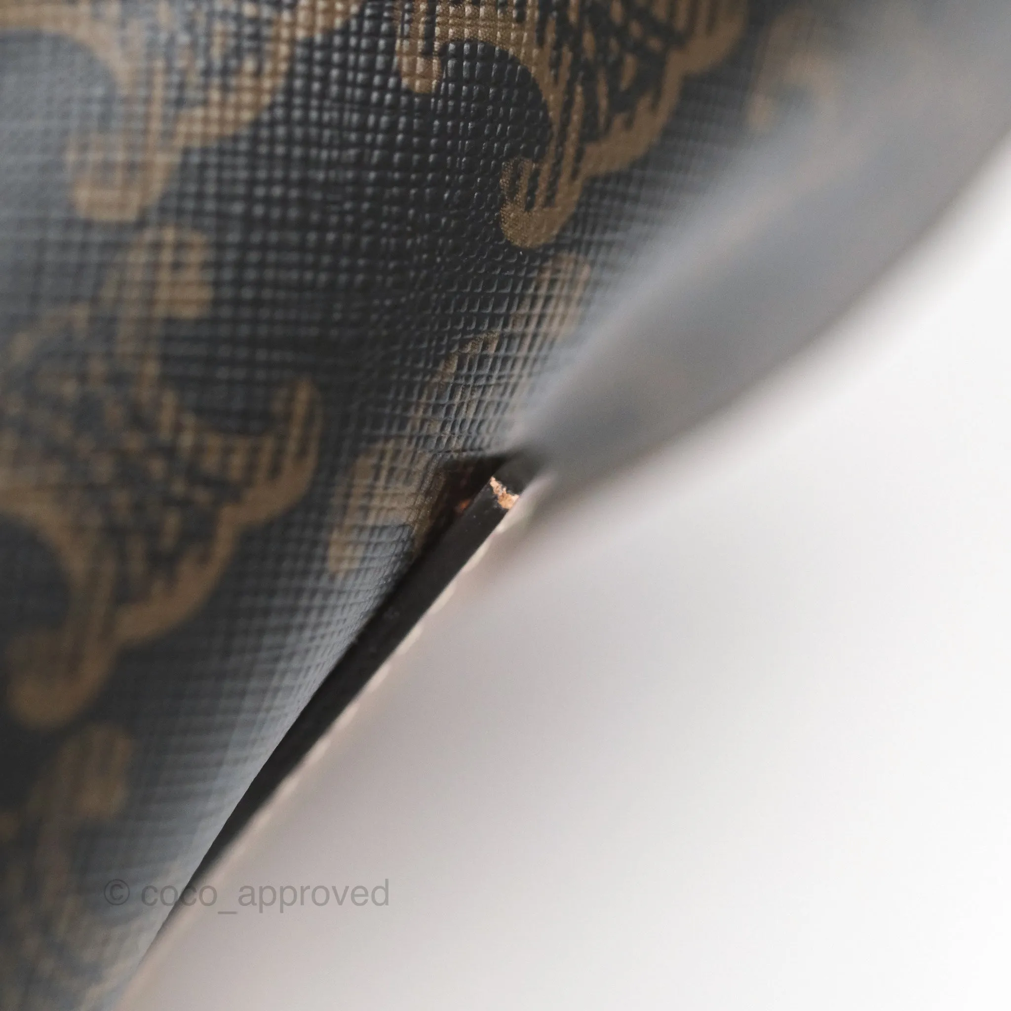 Celine Medium Folco Backpack In Triomphe Canvas Calfskin