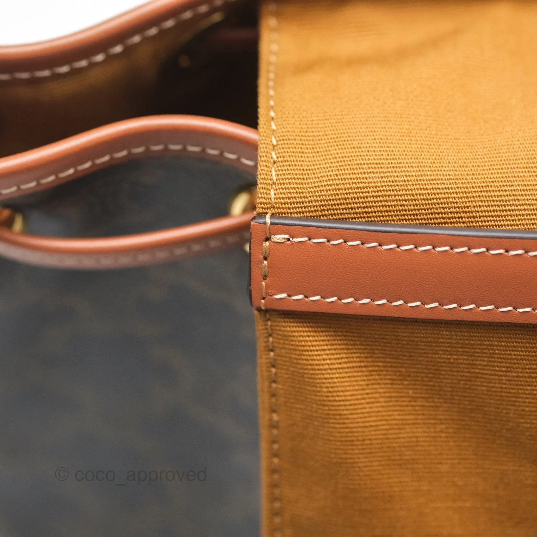Celine Medium Folco Backpack In Triomphe Canvas Calfskin
