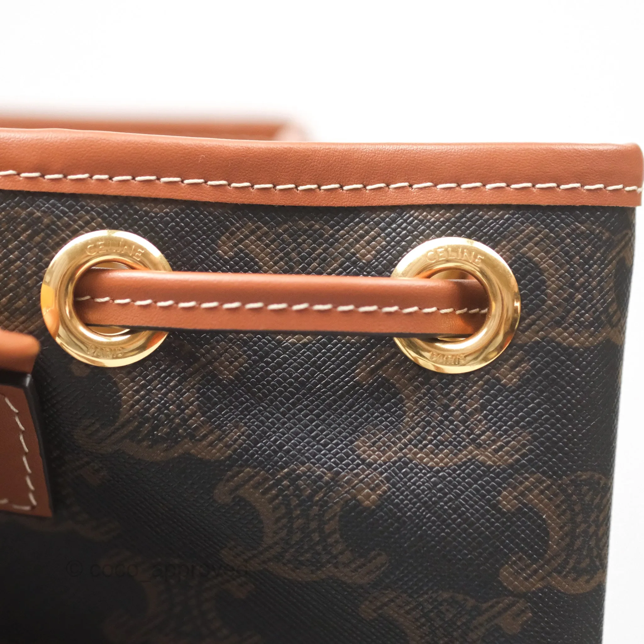 Celine Medium Folco Backpack In Triomphe Canvas Calfskin