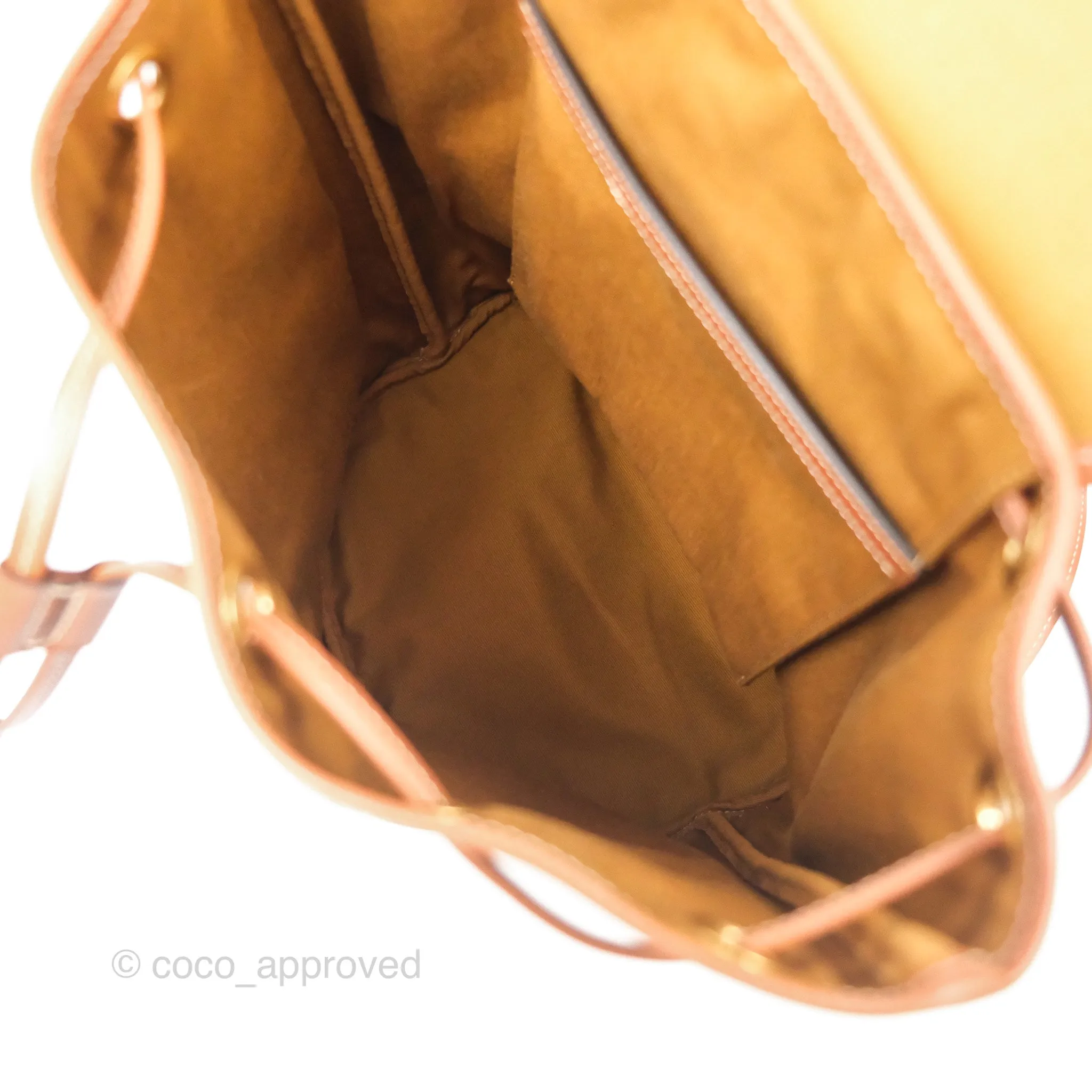 Celine Medium Folco Backpack In Triomphe Canvas Calfskin
