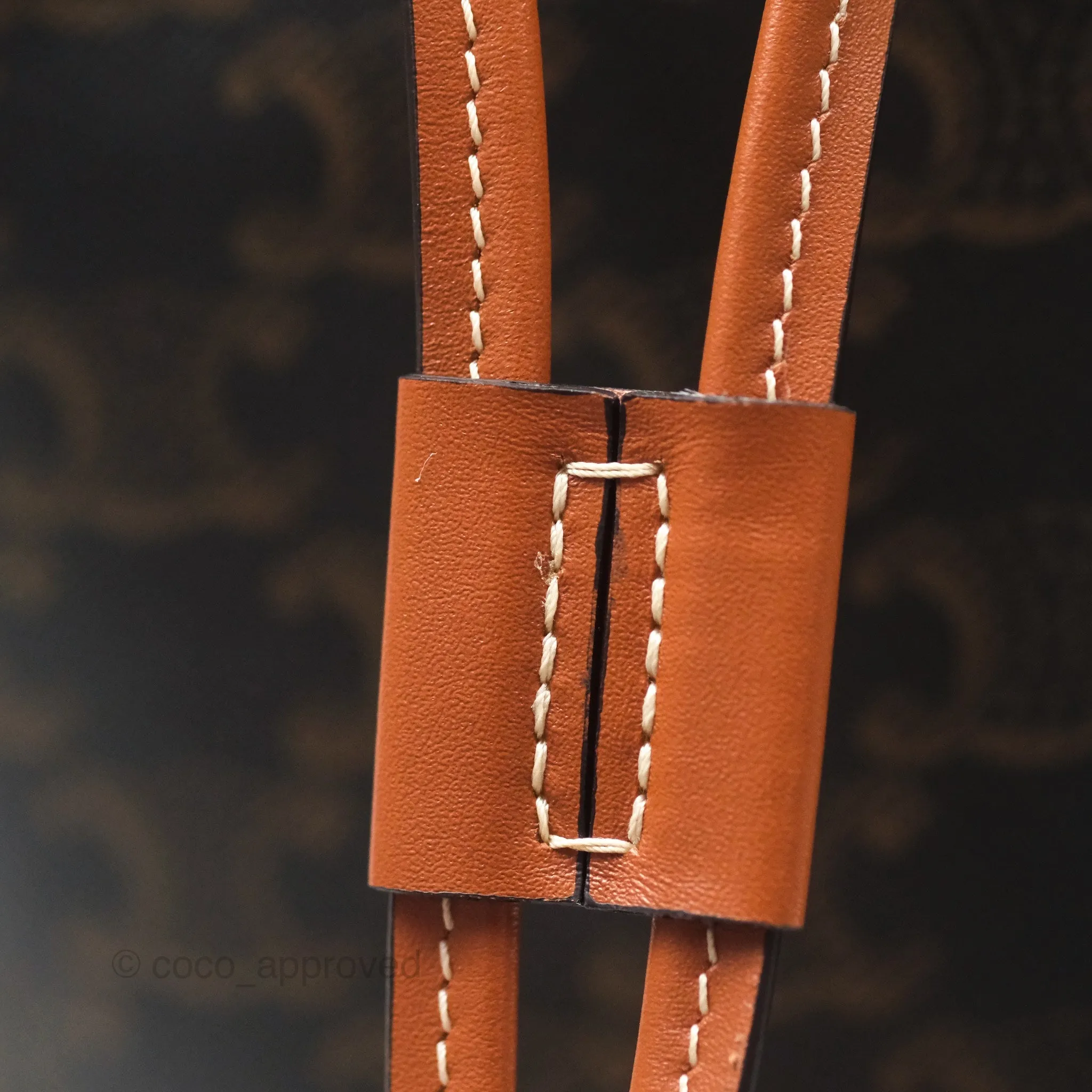 Celine Medium Folco Backpack In Triomphe Canvas Calfskin