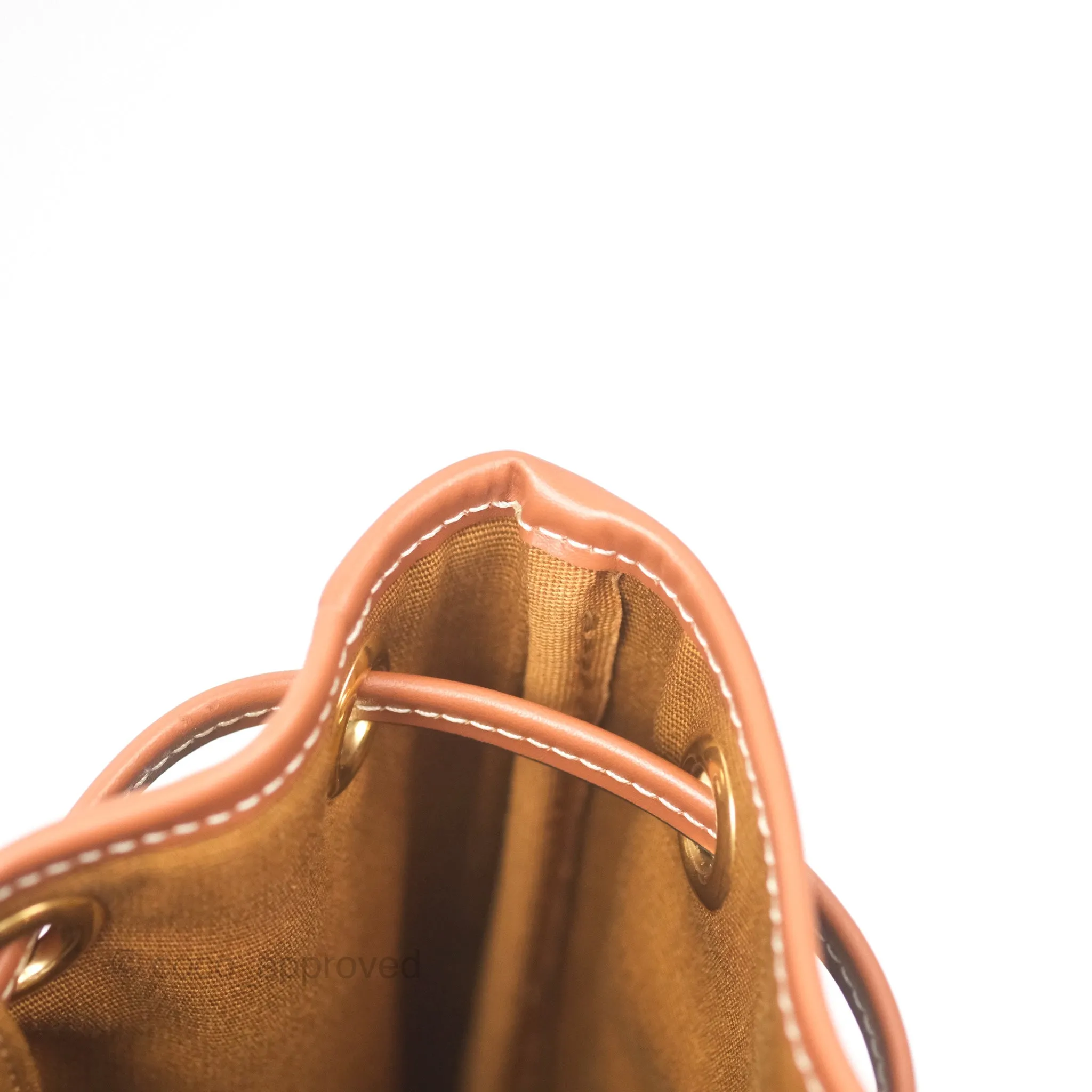 Celine Medium Folco Backpack In Triomphe Canvas Calfskin