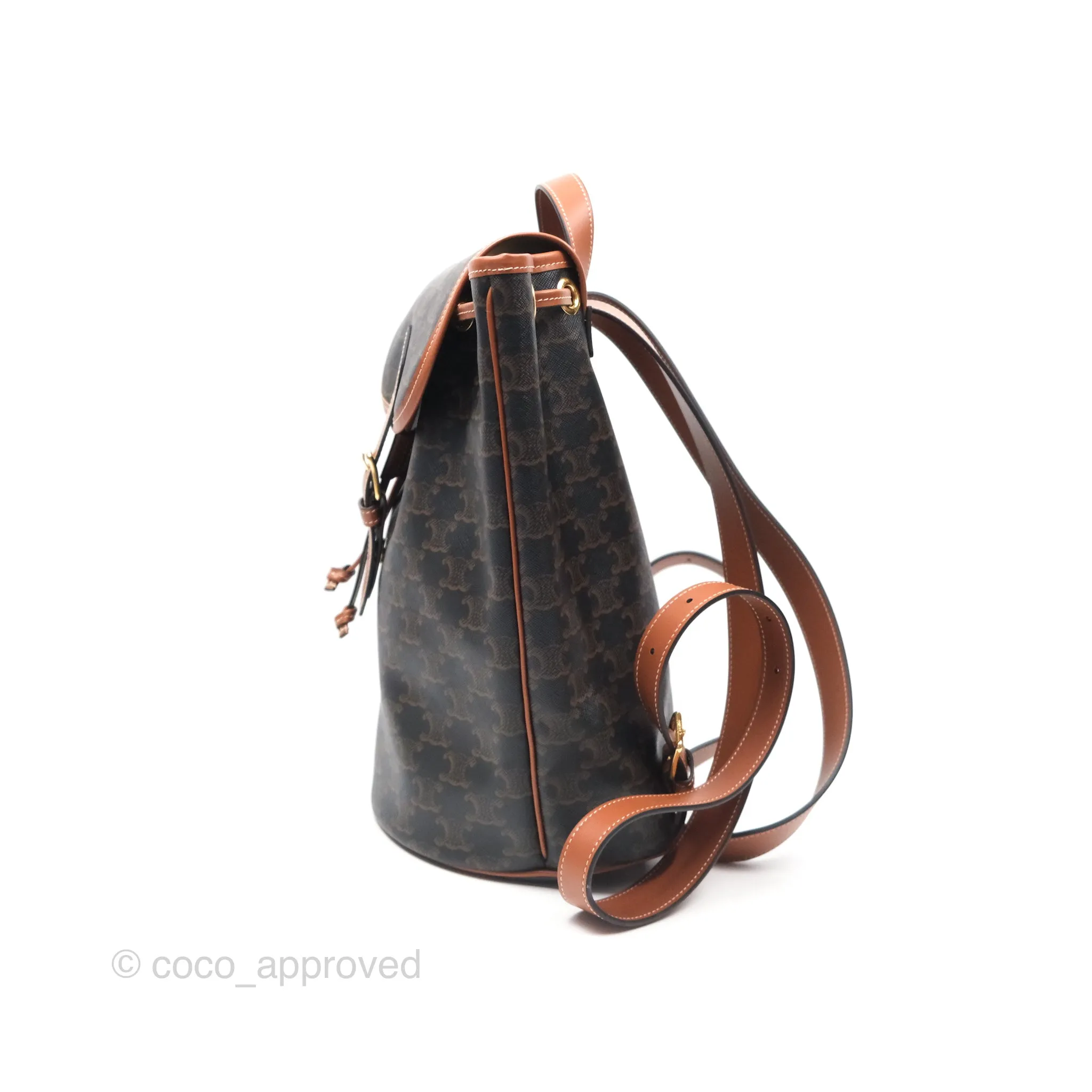 Celine Medium Folco Backpack In Triomphe Canvas Calfskin