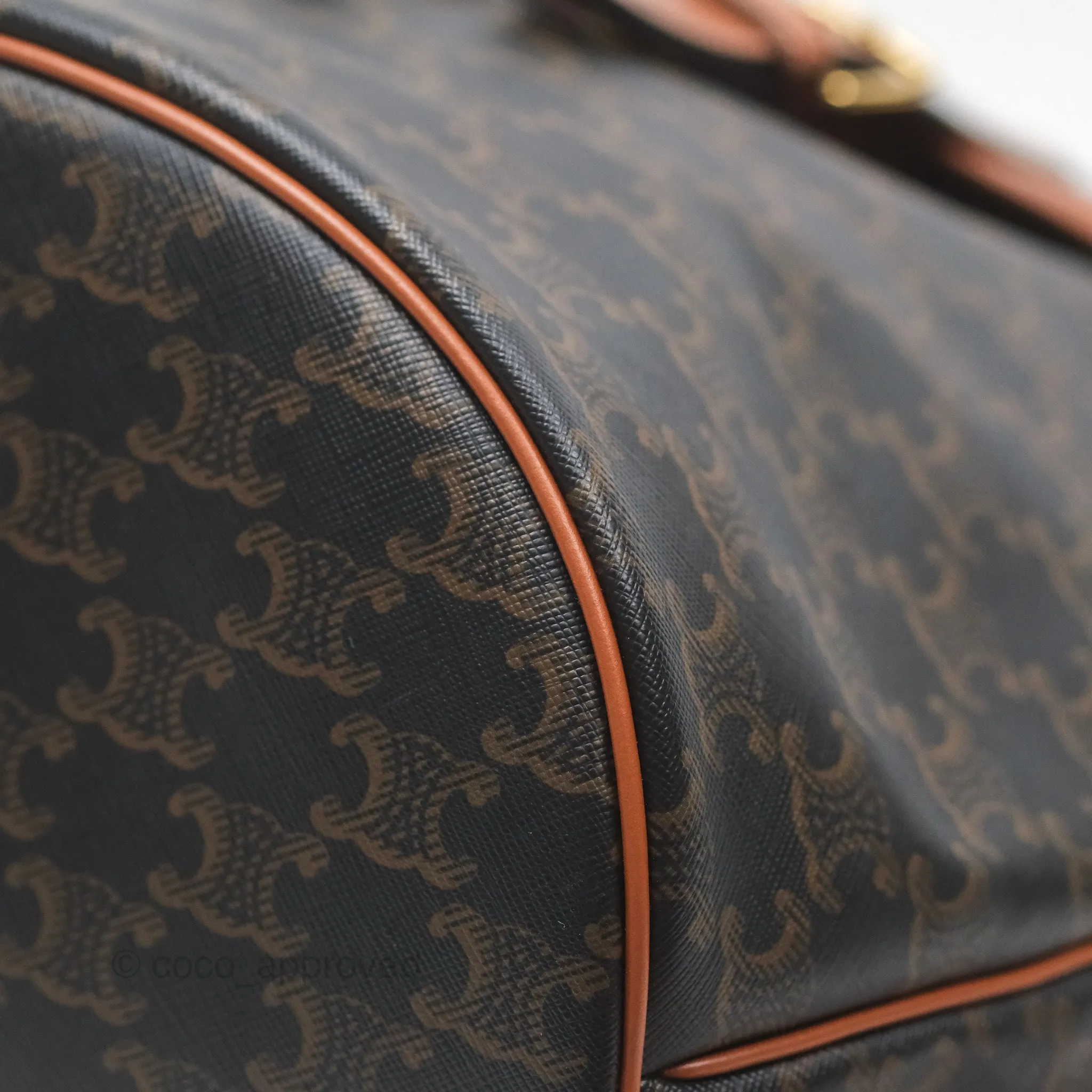 Celine Medium Folco Backpack In Triomphe Canvas Calfskin