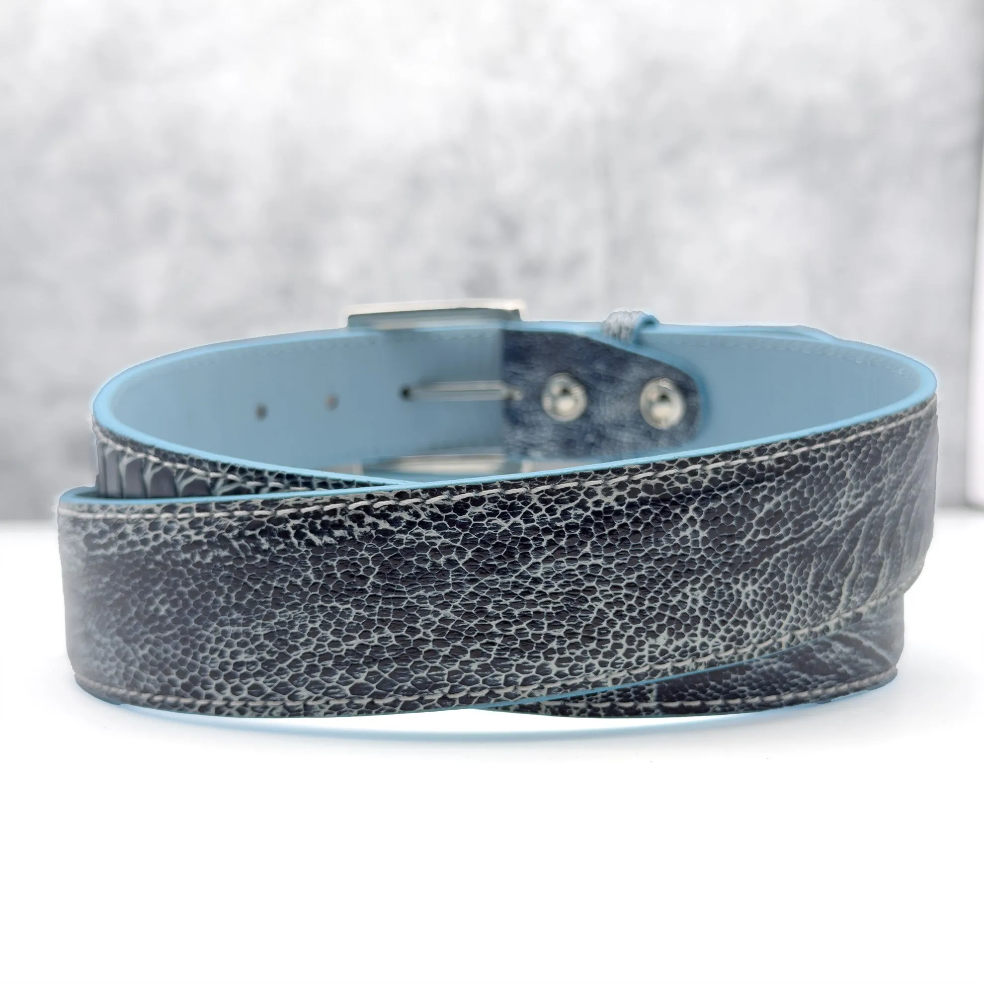 Ostrich Shin Belt: Blue White Two Tone