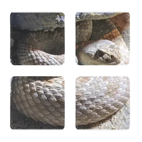 Snake Sublimation Coasters Pack of Four