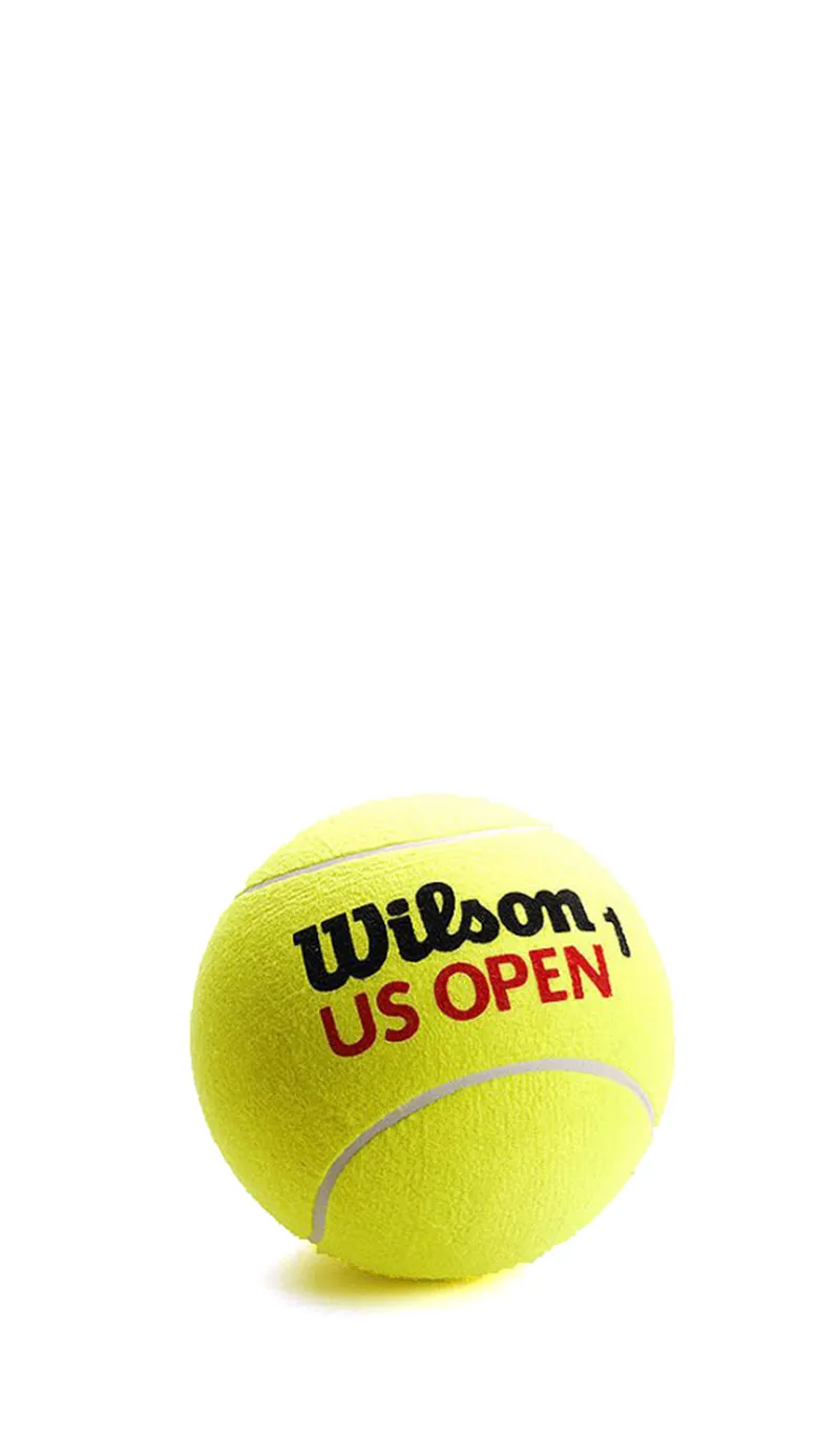 WILSON Confezione palline da tennis